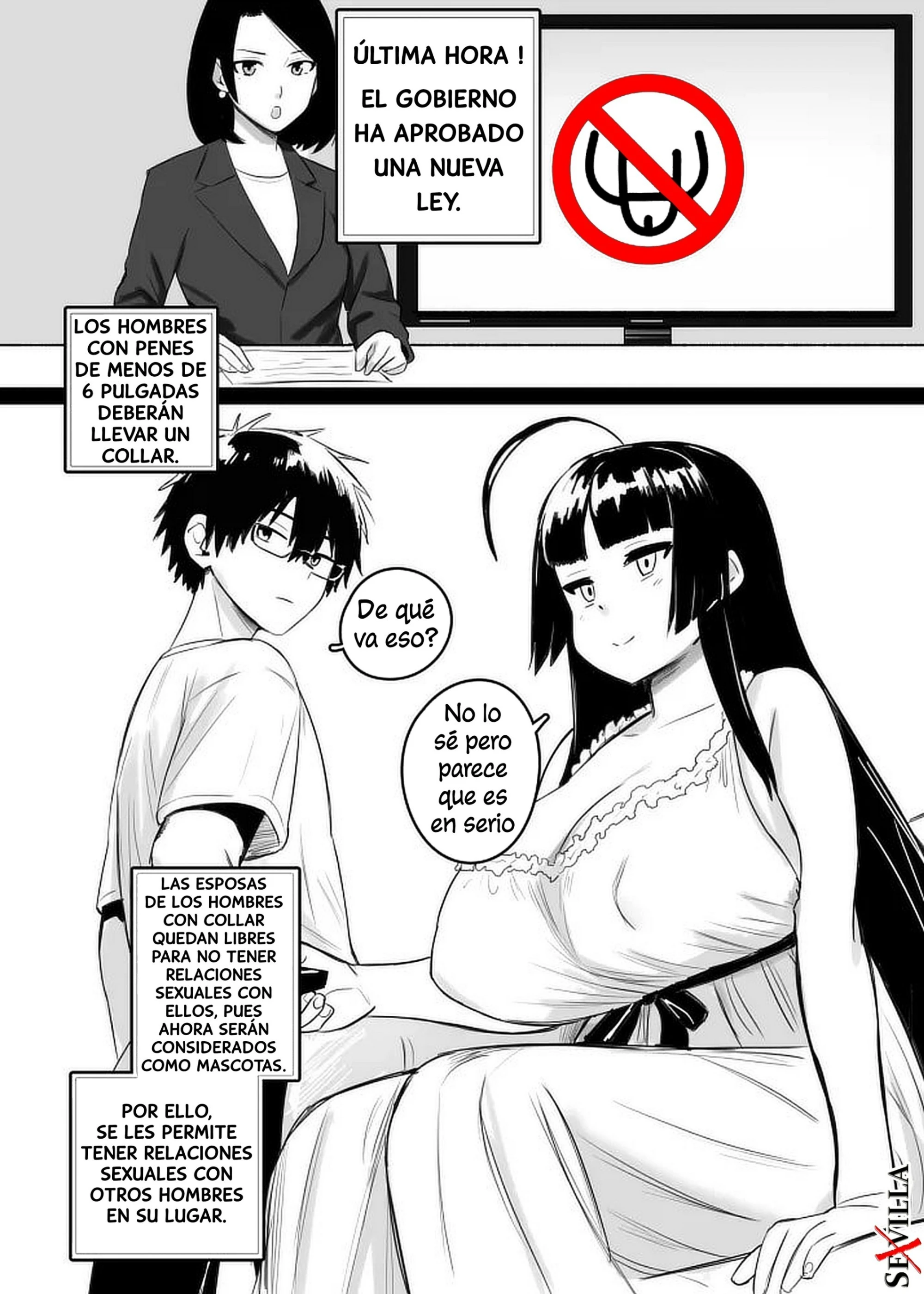 La Ley De Longitud De Pene 2