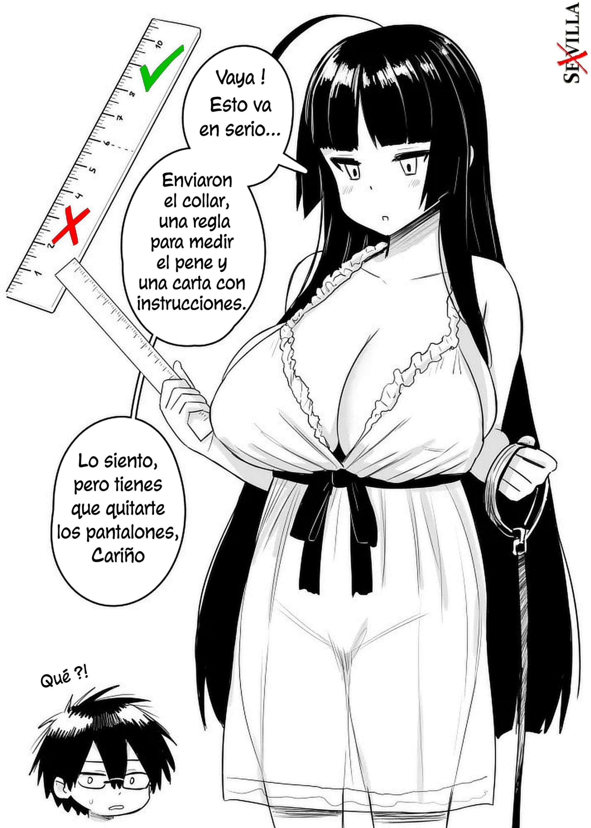 La Ley De Longitud De Pene 4